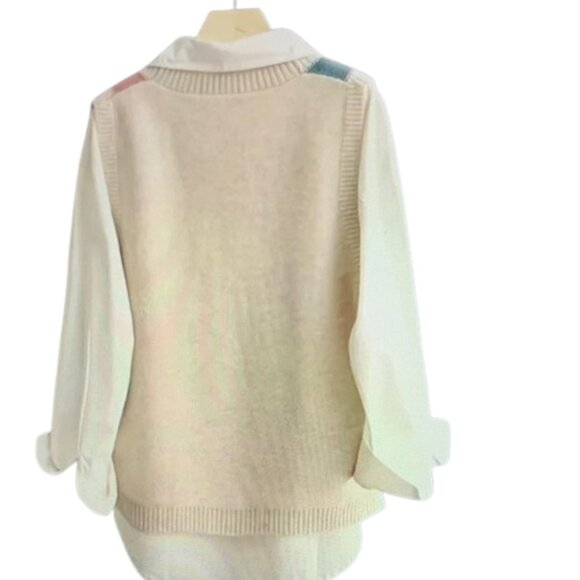 Colorblock Sleeveless Sweater  Vest - Picture 6 of 9